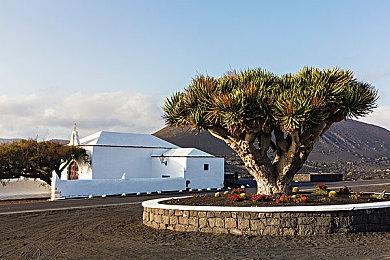 格斗游戏大赛EVO 2024游戏阵容公布：《铁拳8》等