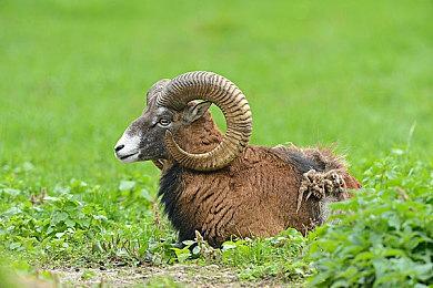 肉鸽游戏《黎明前20分钟》开启Steam抢先体验 后续更新计划公布