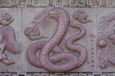 献给所有七龙珠玩家的故事：PS5／XSX|S版《七龙珠Z 卡卡洛特》公开最新情报