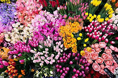 索尼重申：第一方付费游戏首发不登陆PS Plus