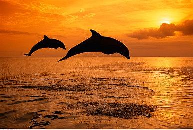 微软一直和佳作擦肩而过 《GTA3》差点成Xbox独占